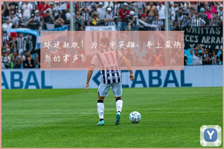 球迷狂欢!为心中英雄,奉上最热烈的掌声!